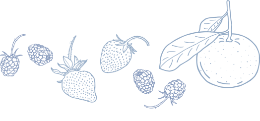 fruit-line-art